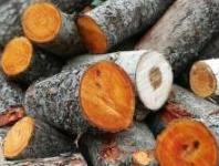 Купить ольховые дрова в Лотошино и Лотошинском районе