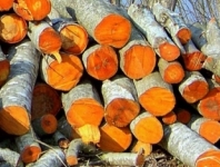 Ольховые дрова колотые