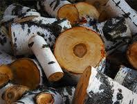 Купить дрова берёзовые Истринский район Истра Московской области