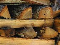 Дрова дубовые Жуковский цена дров